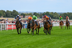 300826-Race 2-Jm Jungle-9654