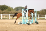 SBM_001017
