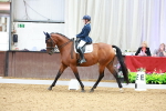SBM_004987