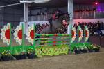 SBM_006622