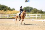SBM_006590