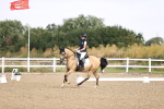 SBM_008544_Novice 5 - 830-933