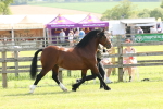 SBM_02103