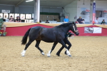 SBM_16718
