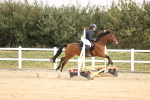 SBM_000448