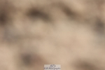 250622-083108-13735