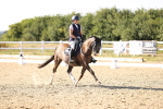 SBM_007584