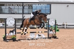BPP_8213