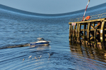 ACP_9565-2