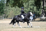 WJ7_0976