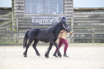 SBM_004017