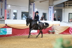 SBM_19228