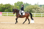 SBM_006050