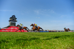 270526-Race 4-Mao Shang Wong-3167
