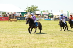 SBM_17338