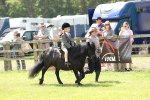 SBM_05311