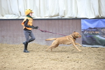 SBM_001376