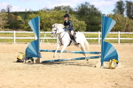SBM_001342