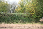 WJ6_7559