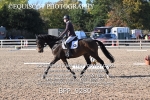 BPP_9280