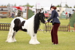 SBM_05997