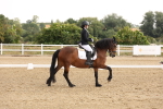 SBM_005401
