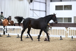 SBM_5796