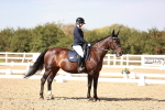 SBM_006335