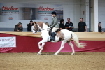 SBM_03682