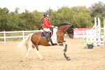 SBM_008199