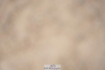 230924A-142524-06440