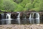 Wain Worth Falls