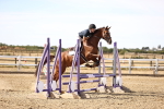 SBM_000198