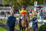 111024-Race 5-Vince LAmour-2055