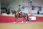 SBM_10657