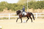 SBM_009463