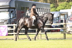 SBM_12272