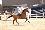 SBM_001559