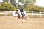 SBM_005830