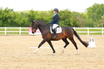 SBM_006594