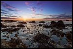 Sauchar Point Sunrise - Fife