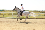 SBM_001589