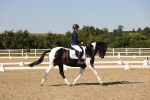 SBM_006487