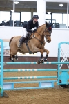 Class 11 - Blue Chip Dynamic B&C Championship Qualifier portfolio