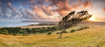 z2493 Sunset View over Sandown Bay