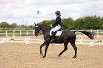 SBM_002644
