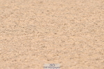 240509A-095314-00704