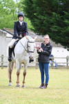 Class 7  Riding Club Show Horse portfolio