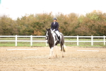 SBM_000730