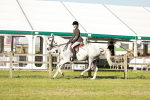 SBM_20108